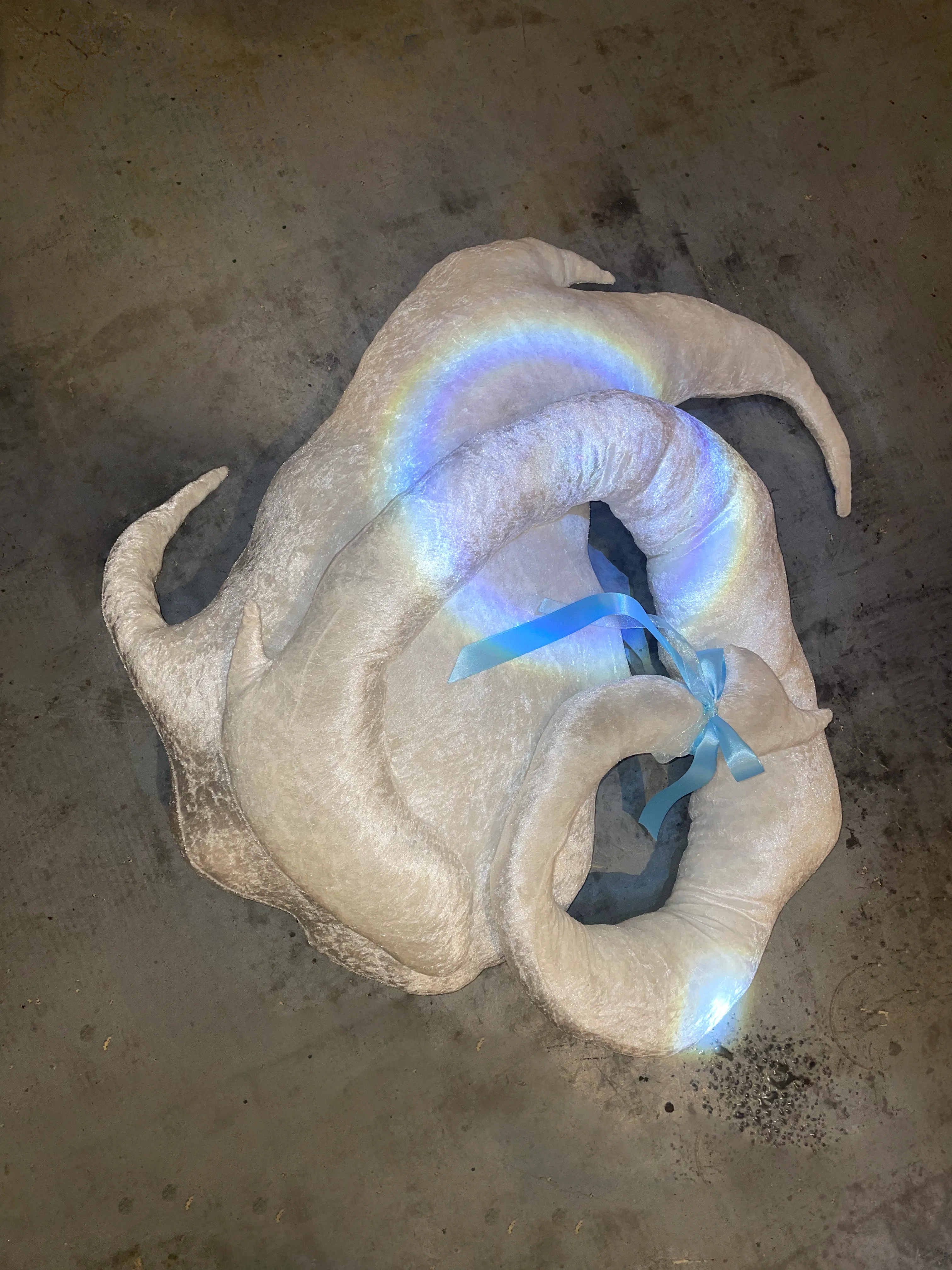 Detail of cetus showing soft texture and gentle sculptural features