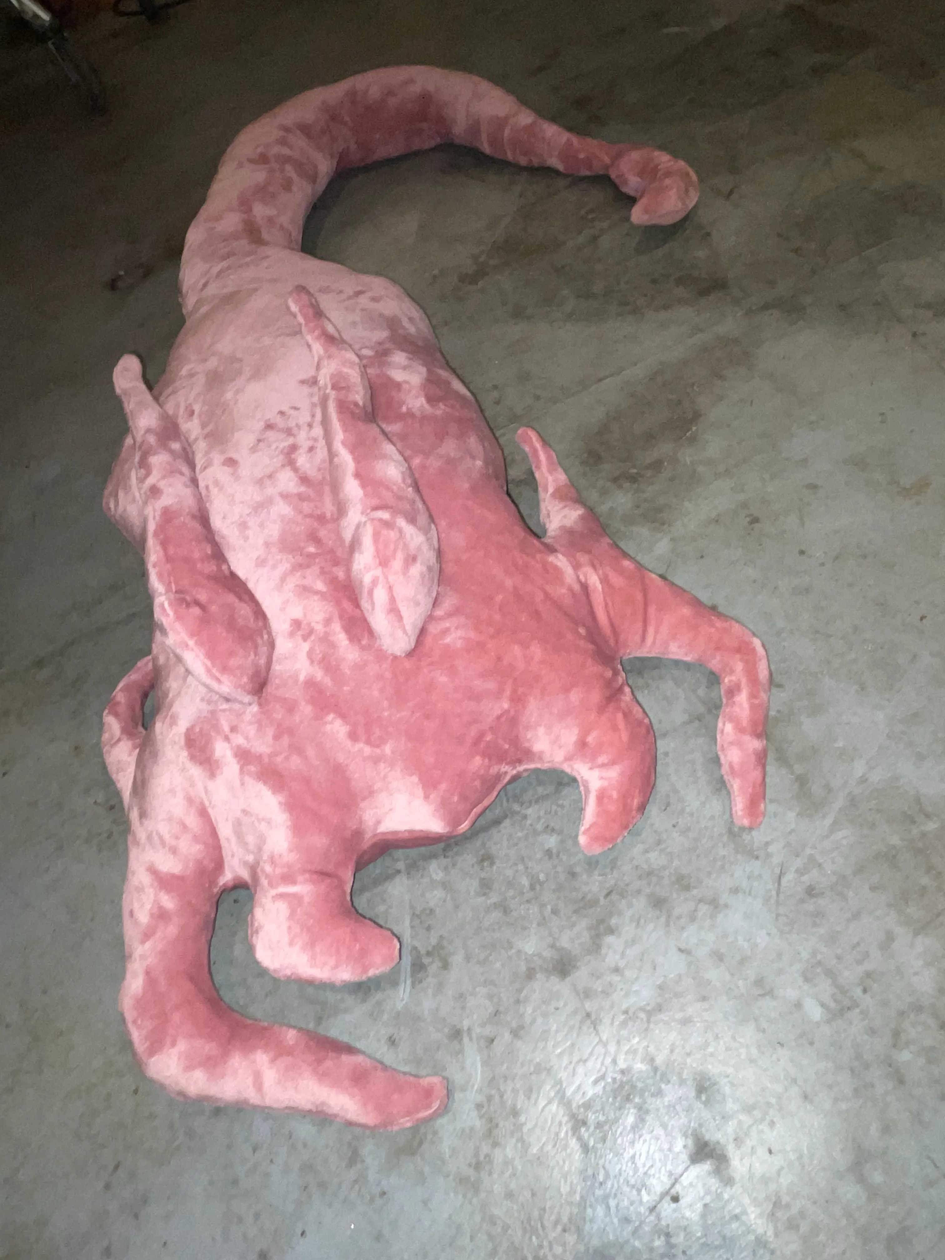 Detail view of sea creature showing delicate sculptural elements and texture