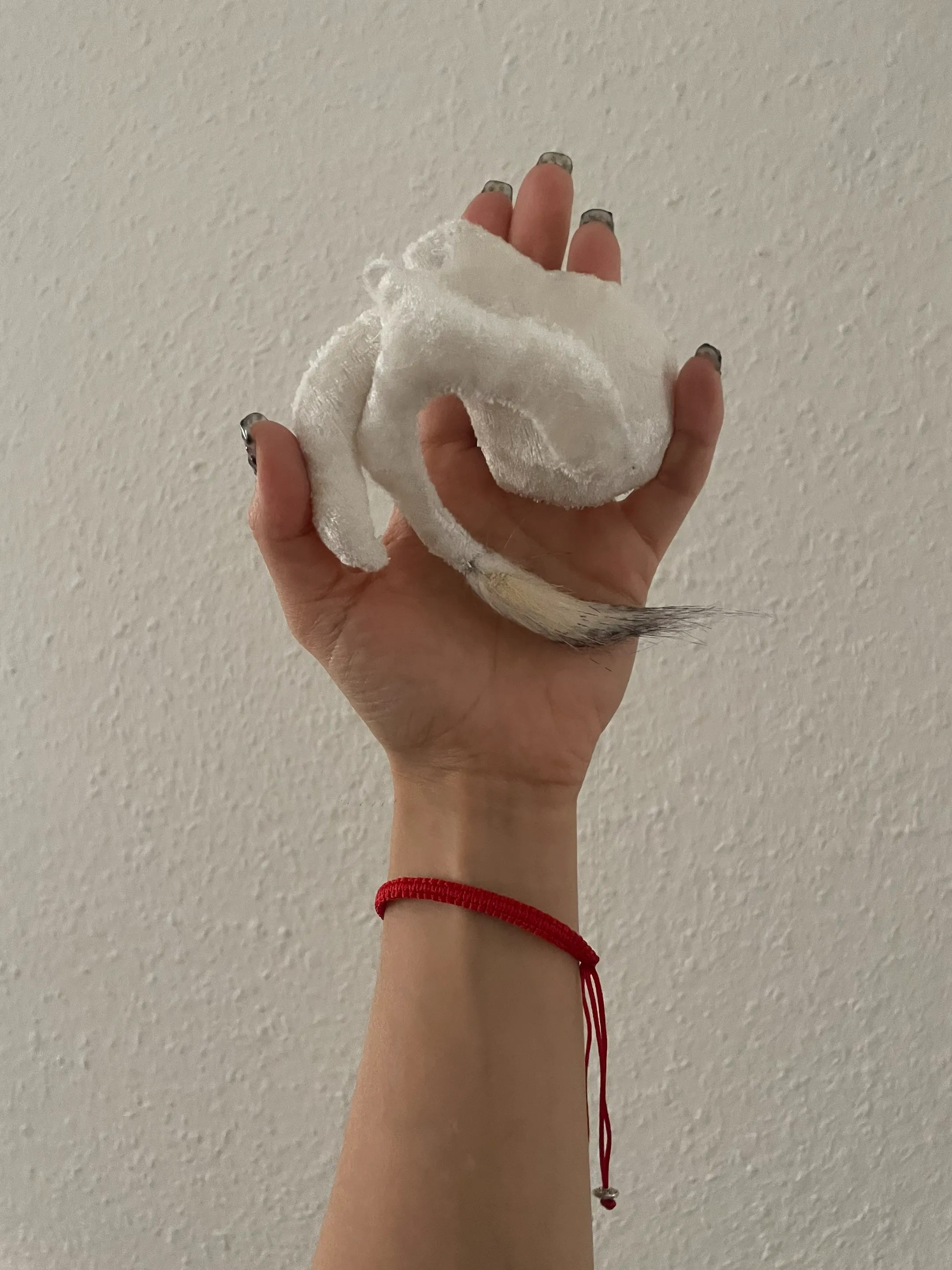 Nubi brooch displayed showing delicate scale and cloud-like form